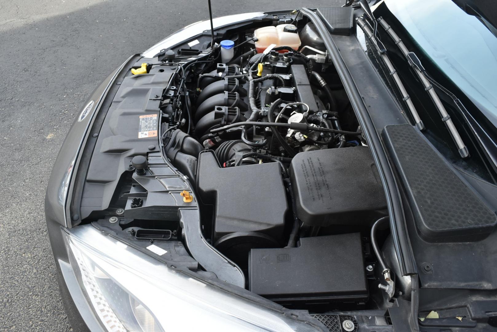 2016 Gray /Black Ford Focus SE (1FADP3F26GL) with an 2.0L I-4 GDI TI-VCT FLEX FUEL engine, 6-Speed Powershift Automatic transmission, located at 1600 E Hwy 44, Rapid City, SD, 57703, (605) 716-7878, 44.070232, -103.171410 - Photo#25